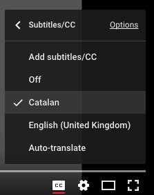 Captura de pantalla mostrant la configuració de subtítols