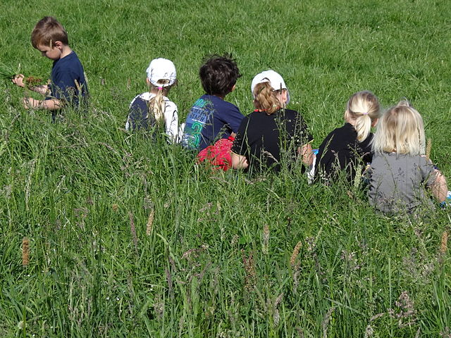 Grup de canalla a un prat verd